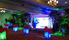 Sistema profesional de Luces