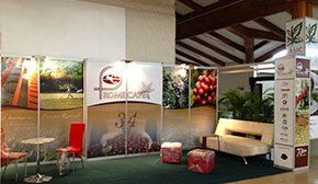 Estructuras para Expo, Ferias y Congresos