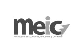 Meic